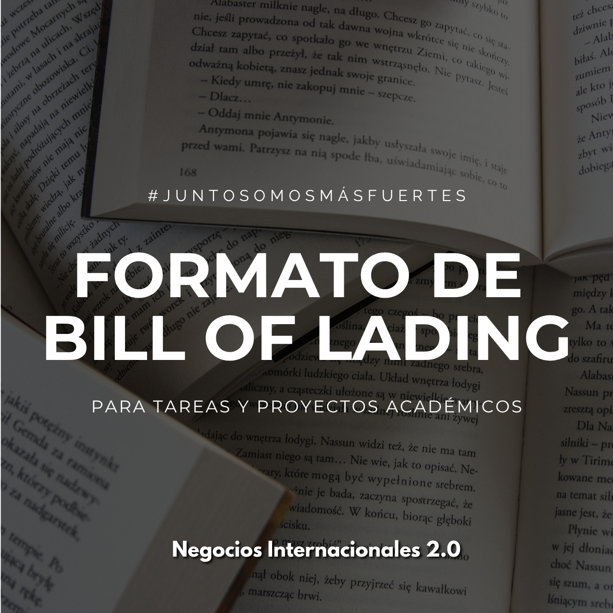 Formato de Bill of Lading