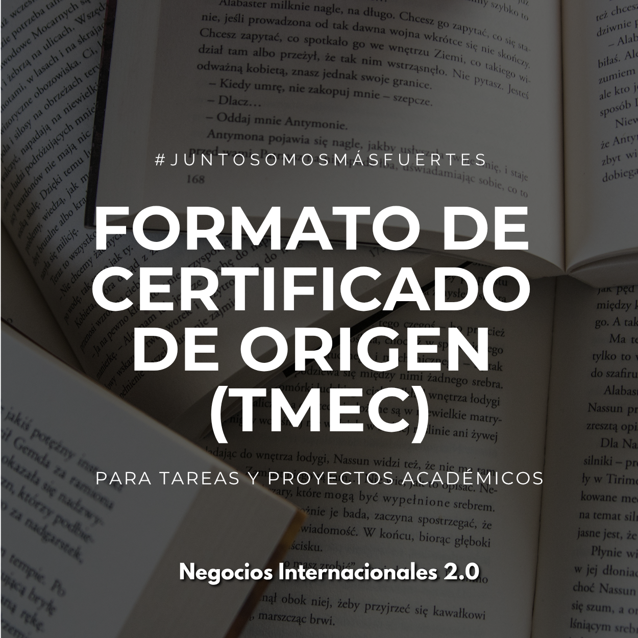 Formato de Certificado de Origen